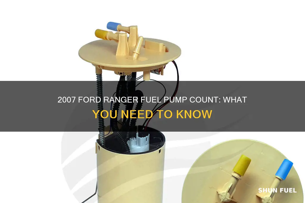 how many fuel pumps on a 2007 ford ranger