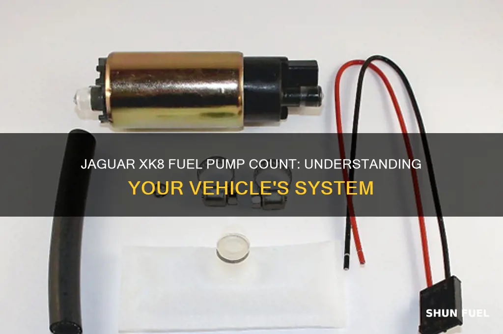 how many fuel pumps on a jaguar xk8