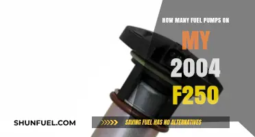 Fuel Pump Count: 2004 F250's Pump Configuration Explained