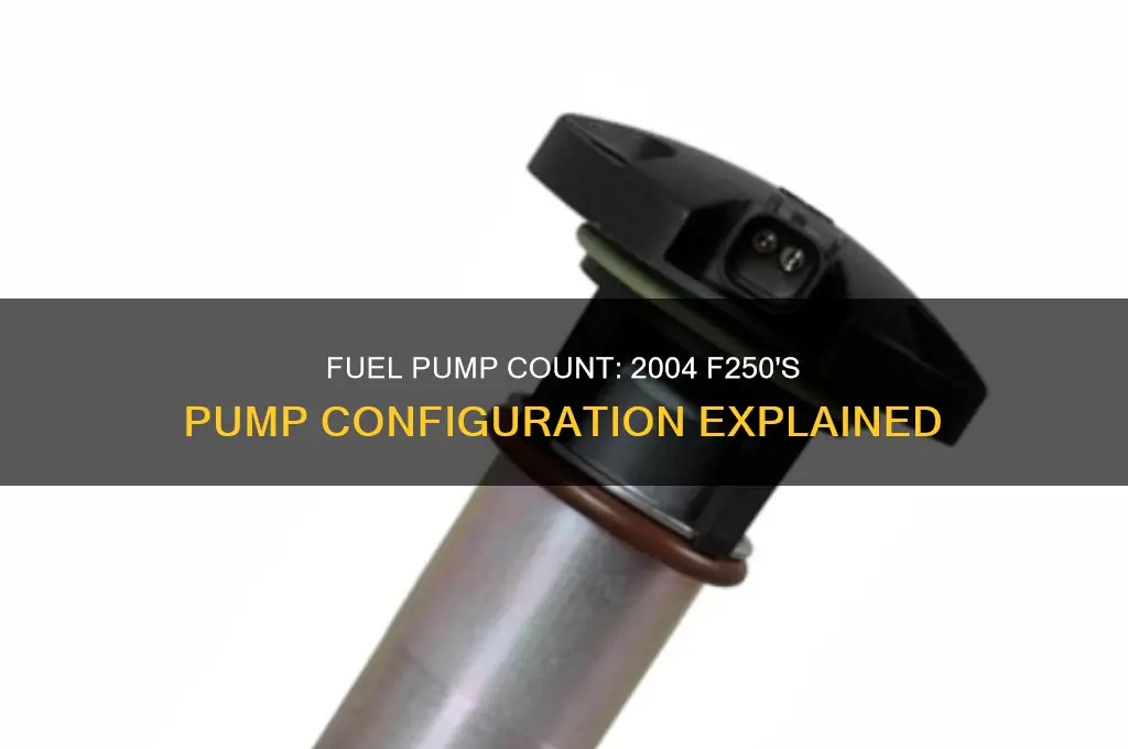 how many fuel pumps on my 2004 f250