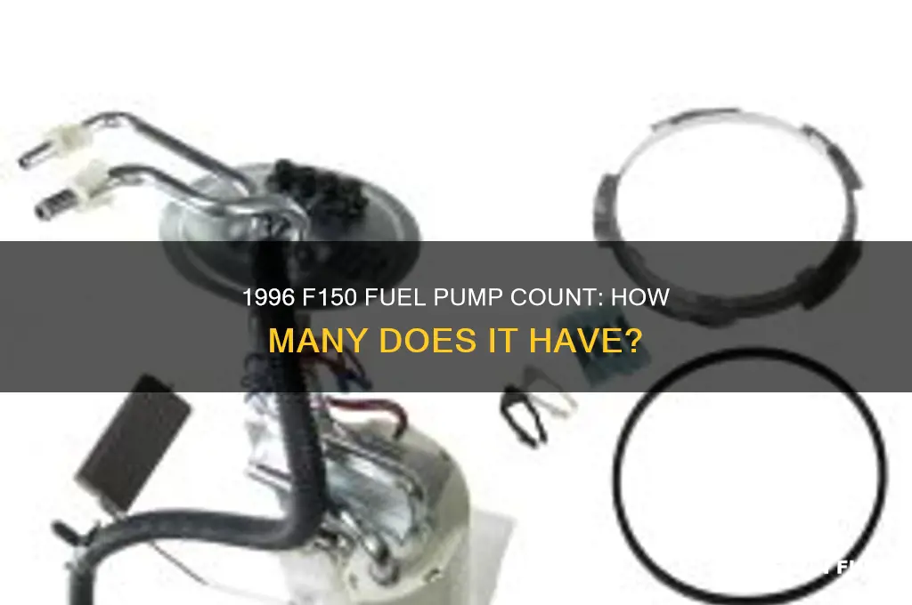 how many fuel pumps s does a 1996 f150 have
