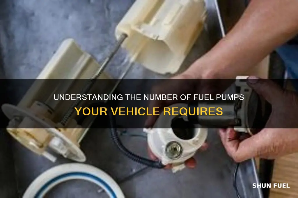 how many fuel pumps
