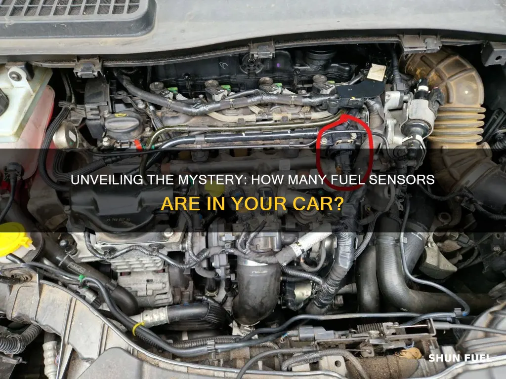 how many fuel sensors are in a car