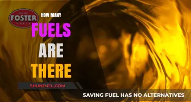 Exploring the Diverse Types of Fuels Powering Our World