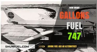 How Much Fuel Does a Boeing 747 Consume per Flight?