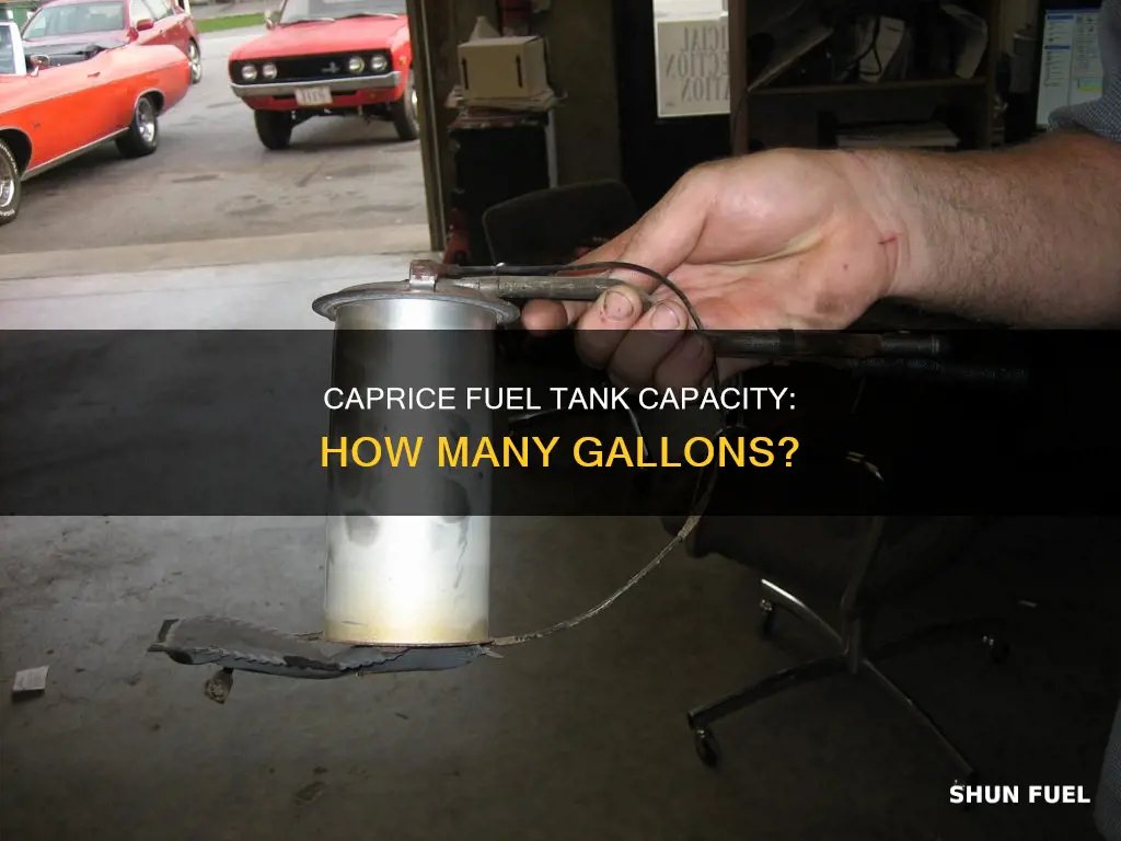 how many gallons is my 1996 chevy caprice fuel tank