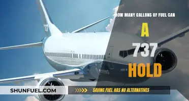 Boeing 737 Fuel Capacity: How Many Gallons Can It Hold?