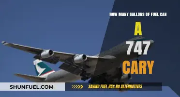 How Much Fuel Does a 747 Carry for Long Flights?