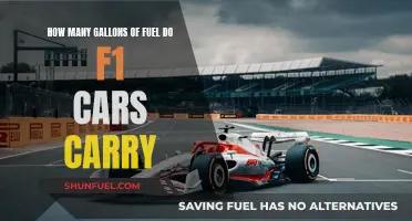 F1 Fuel Efficiency: Gallons Carried and Strategies