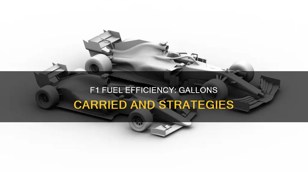 how many gallons of fuel do f1 cars carry