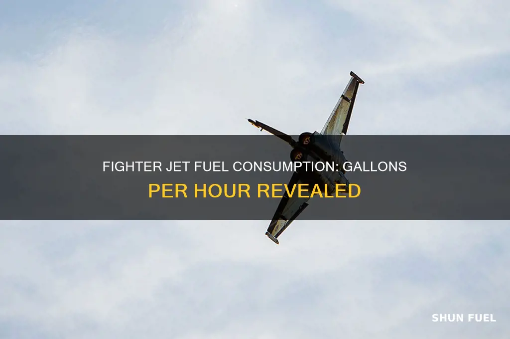 how many gallons of fuel does a fighter jet use