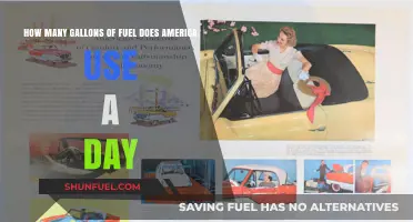 America's Daily Fuel Consumption: Gallons Used and Trends Explained