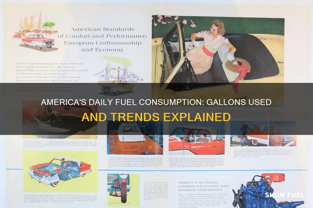 how many gallons of fuel does america use a day