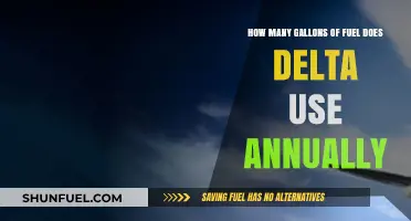 Delta's Annual Fuel Consumption: How Many Gallons Power Their Flights?