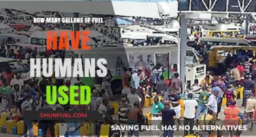 Human Fuel Consumption: Tracking Gallons Used Throughout History