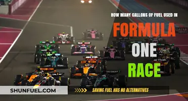 Formula One Fuel Consumption: Gallons Used in a Single Race