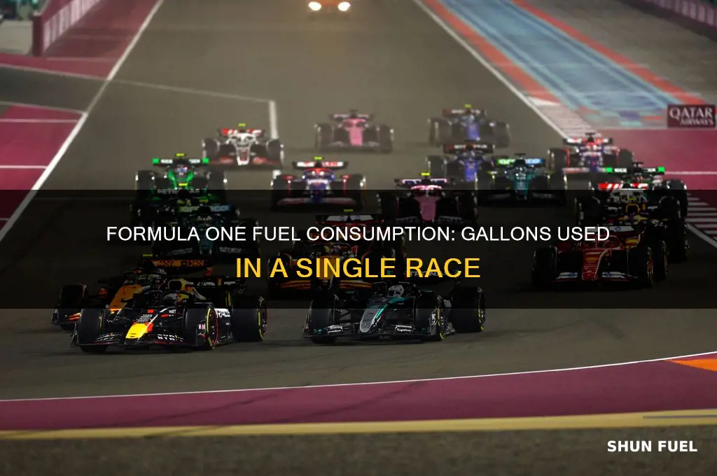how many gallons of fuel used in formula one race