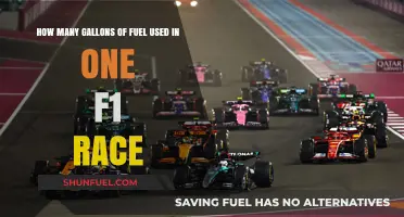 F1 Fuel Consumption: Gallons Burned in a Single Grand Prix Race