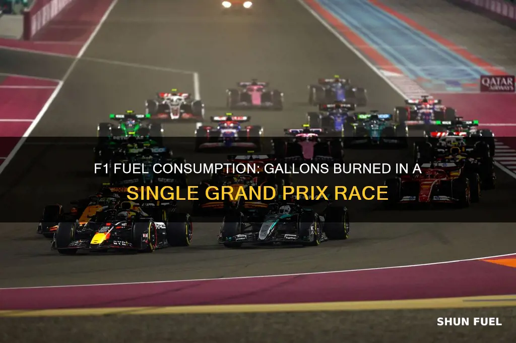 how many gallons of fuel used in one f1 race