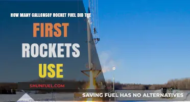 Exploring the Fuel Consumption of History's First Rocket Launches