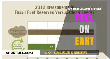 Earth's Remaining Fossil Fuel Reserves: Gallons, Estimates, and Implications