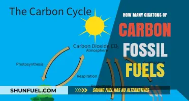 Fossil Fuels' Carbon Impact: Gigatons of Emissions Revealed