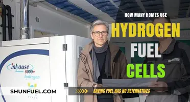 Hydrogen Fuel Cells: Powering Homes Globally – Adoption and Trends
