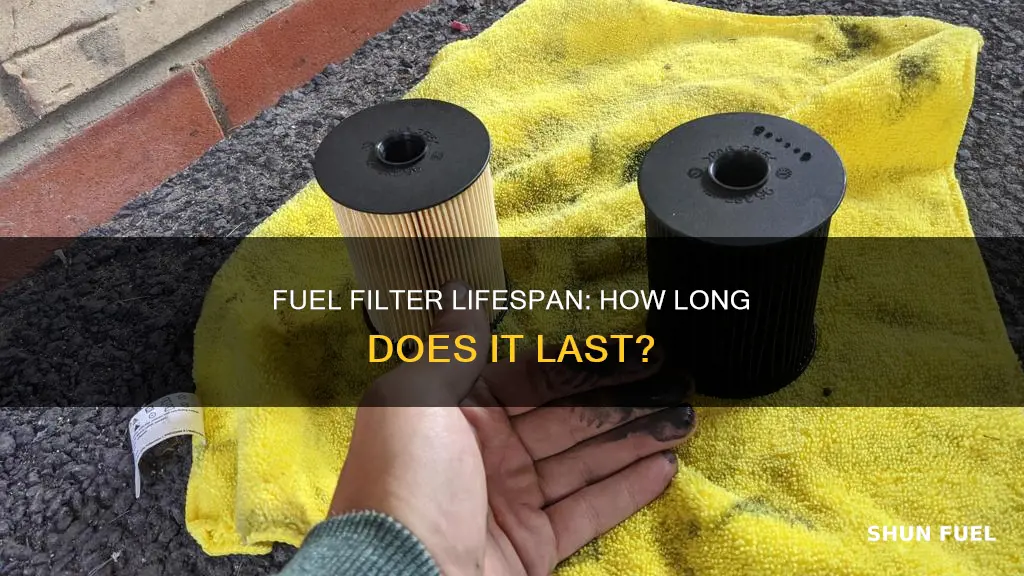 how many hours should be on a fuel filter