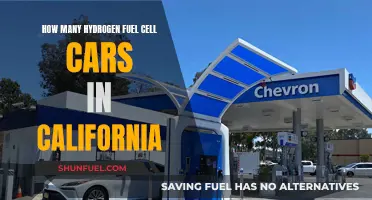 Hydrogen Fuel Cell Cars: California's Green Revolution