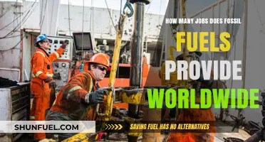 Jobs in Fossil Fuels: A Global Perspective
