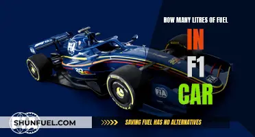 Fuel Efficiency: F1 Car's Litre Capacity Explored