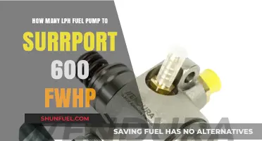 Choosing the Right LPH Fuel Pump for 600 FWHP Builds