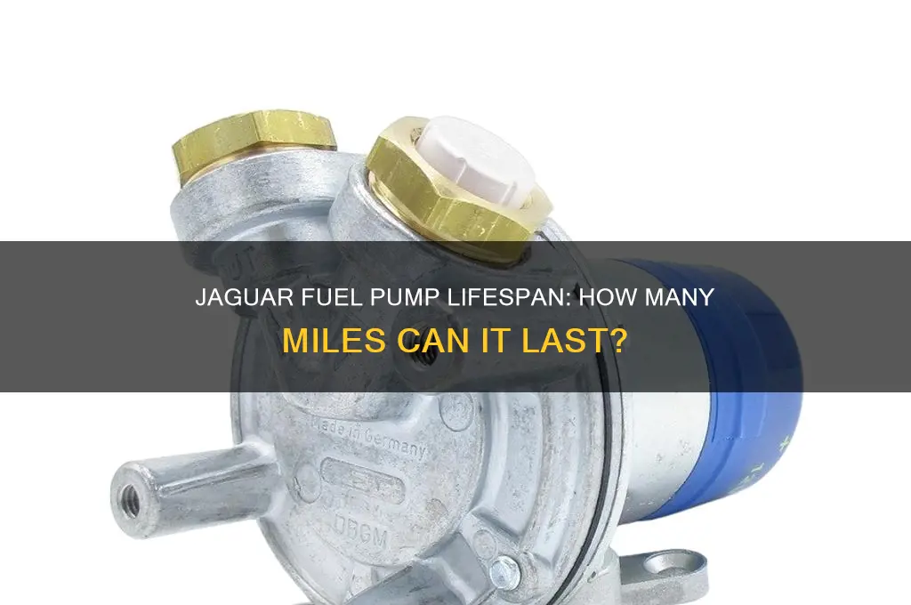 how many mails fuel pump last on jaguar
