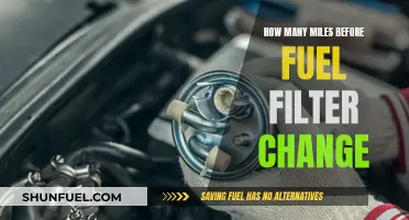 When to Change Your Fuel Filter: Mileage Check