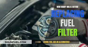 Fuel Filter Replacement: When to Change and Why