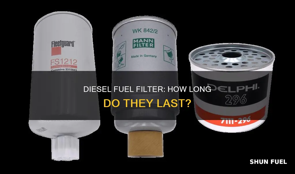 how many miles does a diesel fuel filter last