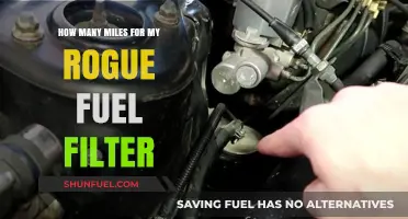 Rogue Fuel Filter: How Long Does It Last?