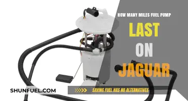 Jaguar Fuel Pump Lifespan: Miles Before Replacement Needed