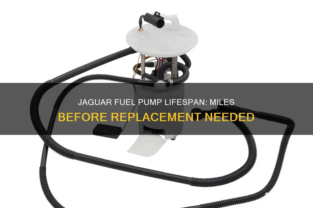 how many miles fuel pump last on jaguar
