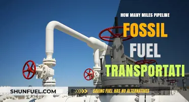 Pipeline Networks: Miles of Fossil Fuel Transportation Infrastructure Explained
