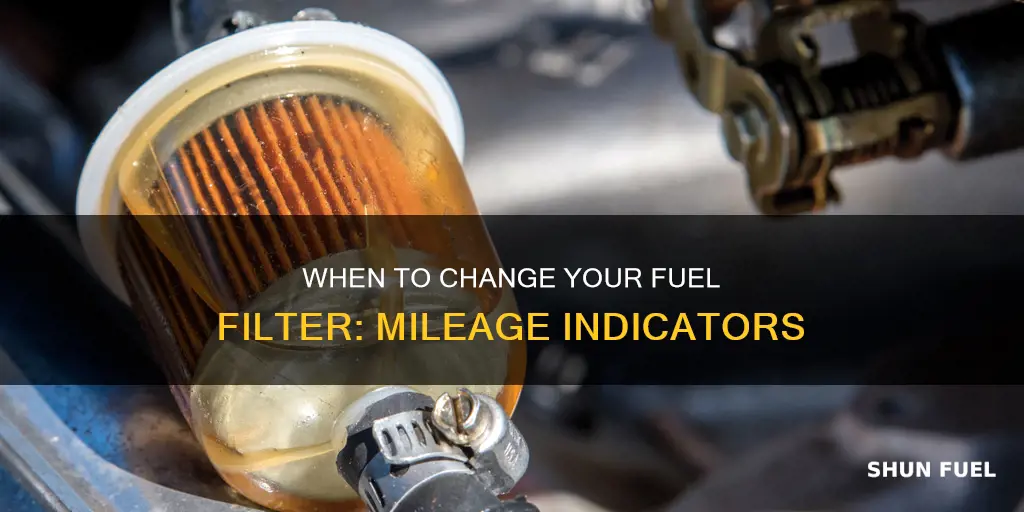 how many miles should i change fuel filter