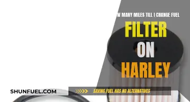 When to Change Your Harley's Fuel Filter