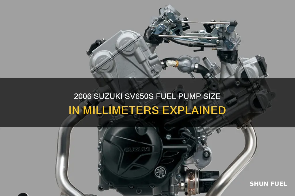 how many mm is a 2006 suzuki sv650s fuel pump