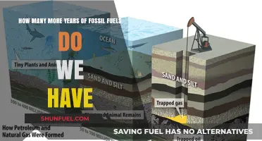 Fossil Fuels Countdown: Estimating Remaining Years of Global Reserves