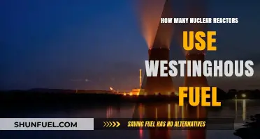 Westinghouse Fuel: Powering How Many Global Nuclear Reactors?