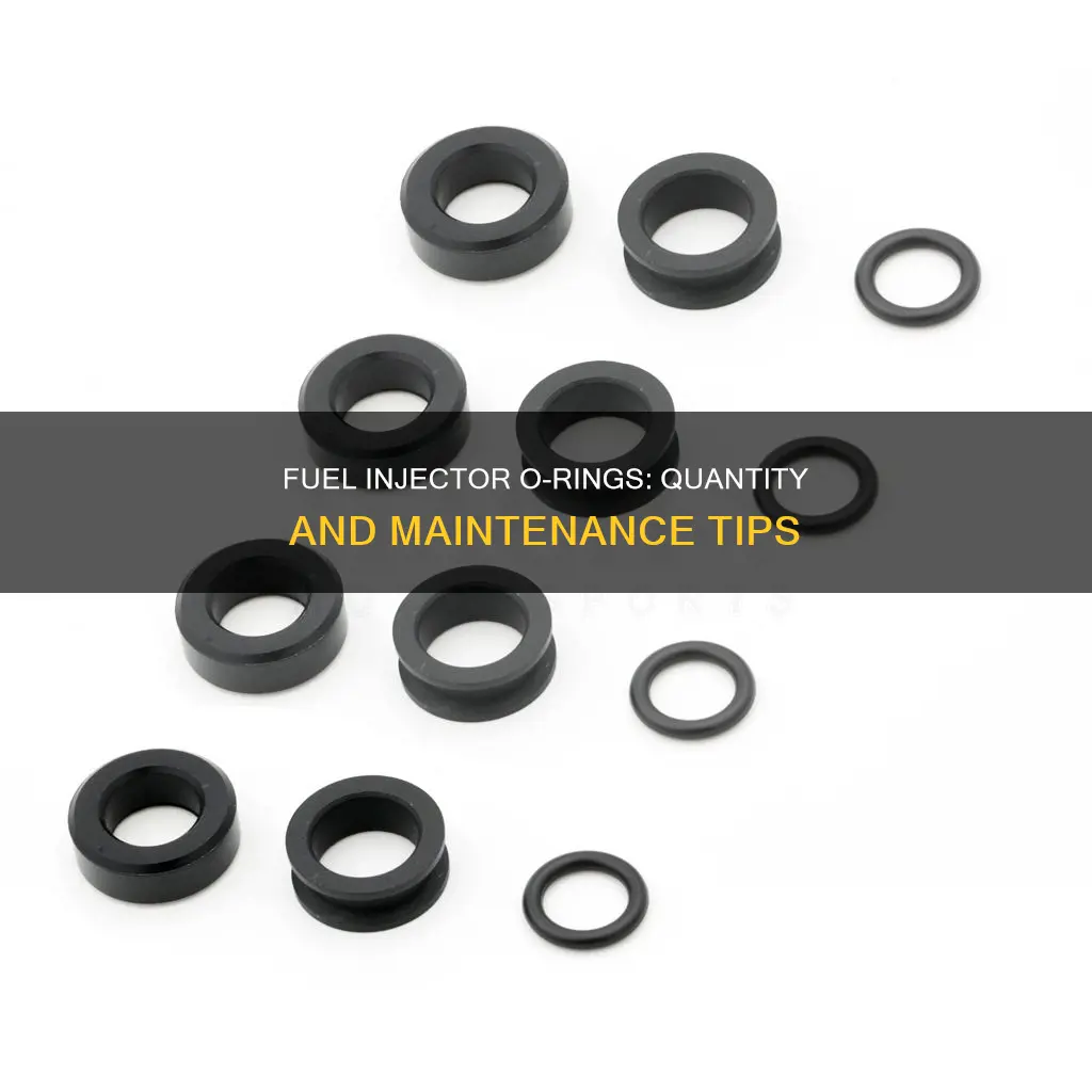 how many o rings on fuel injectors