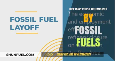Fossil Fuel Industry Employment: A Global Workforce Analysis