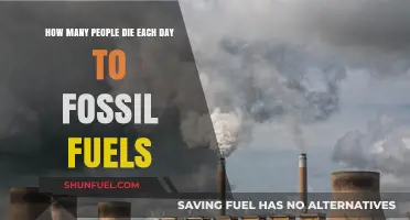 Daily Deaths Linked to Fossil Fuels: A Startling Reality