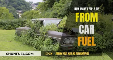 Fatal Car Fuel: The Hidden Death Toll