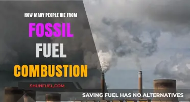 Fossil Fuel Combustion's Deadly Impact: Annual Deaths Revealed